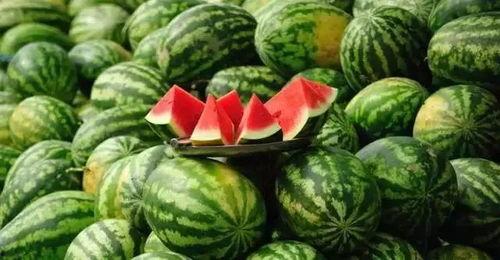 今日王旗营小瓜价格,价格行情一览”