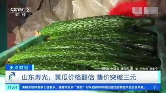 今日寿光瓜价