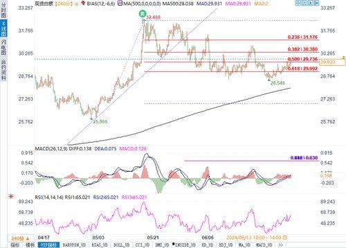 乳瓜今日行情走势最新分析,洞察今日走势背后的市场动态