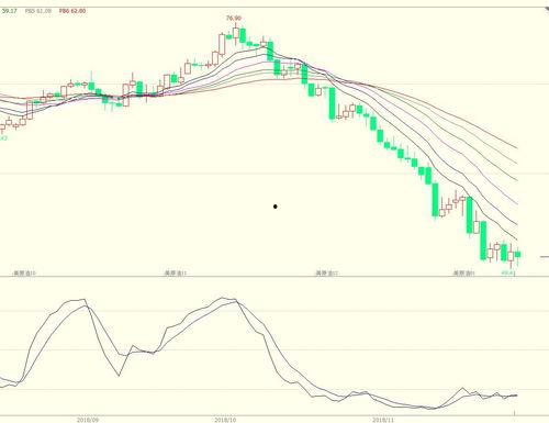 乳瓜今日行情走势最新分析,洞察今日走势背后的市场动态