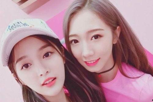 青汁明星网红同款,明星力荐——揭秘青汁明星网红同款背后的健康奥秘”