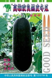 黑瓜网今日最新消息,今日热点新闻概览