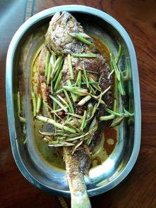 红瓜鱼今日市场价,今日行情一览