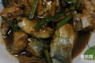 红瓜鱼今日市场价,今日行情一览