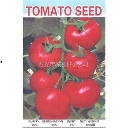 山东今日吊瓜价格表