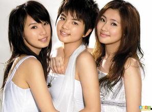 内娱明星网红同框图,跨界互动引热议”