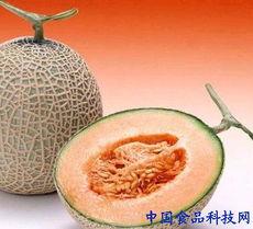 濛阳今日哈密瓜行情价格表,价格波动解析