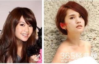 明星网红剪短发图片,明星网红引领潮流剪影