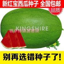 芋瓜价格今日最新行情图,今日价格走势一览