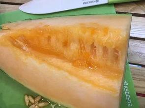 柳州今日吃瓜事件最新情况,真相逐步揭晓