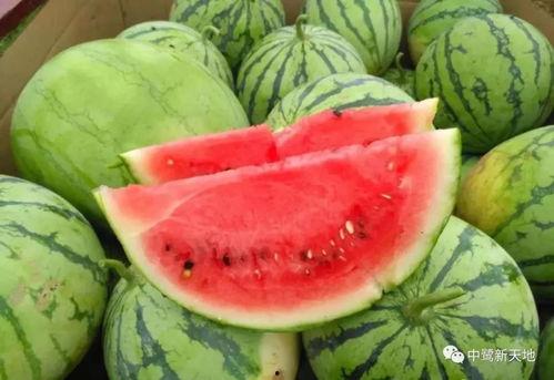 今日推荐吃瓜,揭秘娱乐圈最新“吃瓜”大事件