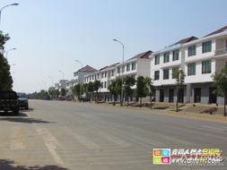 安福瓜乡今日新闻