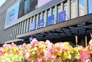 百脑汇今日吃瓜,揭秘科技圈最新热点事件