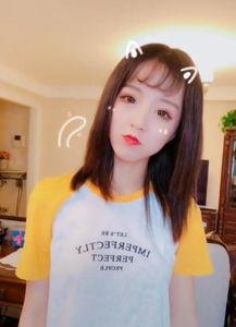 各个明星网红的抖音