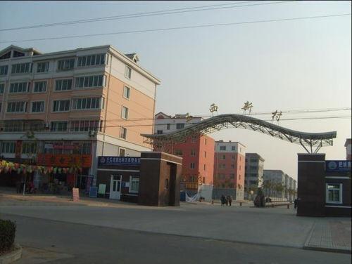 肥城王瓜店今日新闻,今日新闻聚焦乡村振兴新篇章