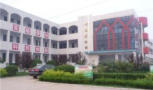 肥城王瓜店今日新闻,今日新闻聚焦乡村振兴新篇章