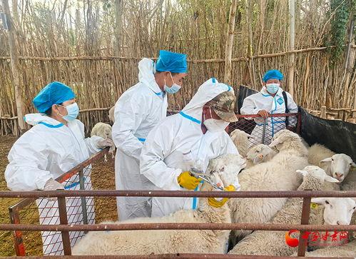 瓜州防疫今日时间表